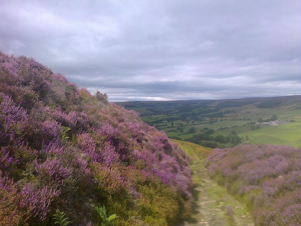 Barmoors Bed & Breakfast Lastingham ภายนอก รูปภาพ