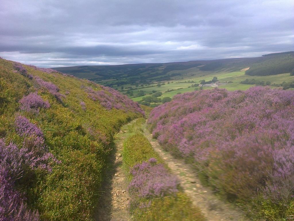 Barmoors Bed & Breakfast Lastingham ภายนอก รูปภาพ